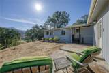 12431 Elk Mountain - Photo 43