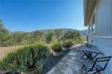12431 Elk Mountain - Photo 46