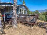 12431 Elk Mountain - Photo 49