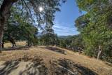 12431 Elk Mountain - Photo 52