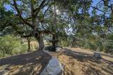 12431 Elk Mountain - Photo 53