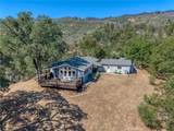 12431 Elk Mountain - Photo 56