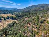 12431 Elk Mountain - Photo 59