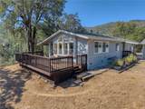 12431 Elk Mountain - Photo 6