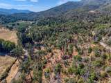 12431 Elk Mountain - Photo 60