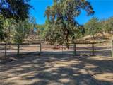 12431 Elk Mountain - Photo 61