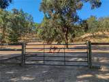 12431 Elk Mountain - Photo 62