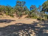 12431 Elk Mountain - Photo 63