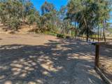 12431 Elk Mountain - Photo 64