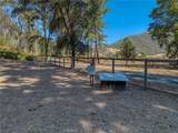 12431 Elk Mountain - Photo 65