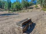12431 Elk Mountain - Photo 66