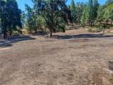 12431 Elk Mountain - Photo 67