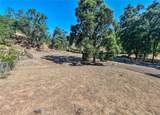 12431 Elk Mountain - Photo 68
