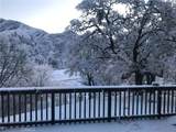12431 Elk Mountain - Photo 69