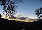 12431 Elk Mountain - Photo 71