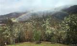 12431 Elk Mountain - Photo 72