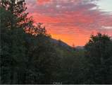 12431 Elk Mountain - Photo 73