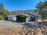 12431 Elk Mountain - Photo 8