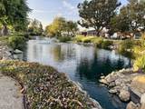36 Whitman Court - Photo 41