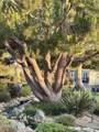 36 Whitman Court - Photo 45