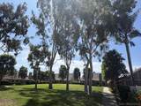 4463 Chase Dr - Photo 39