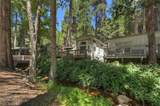 27500 St Hwy 189 - Photo 27