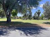 1010 Palm Canyon - Photo 7
