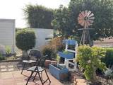 501 Anita Street Spc 50 - Photo 36