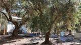 23265 Viola Ave - Photo 10