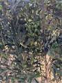 23265 Viola Ave - Photo 20