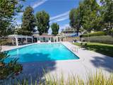 22932 Via Pimiento - Photo 59