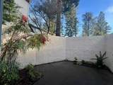 19124 Vineyard Lane - Photo 27