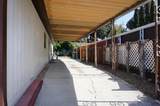 4271 First Street - Photo 27