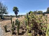 1843 Canyon Heights Road - Photo 43