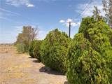 46822 Magney - Photo 67