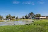 13606 Monte Del Sol - Photo 41