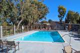13606 Monte Del Sol - Photo 44