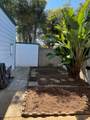 7315 San Luis Street - Photo 12