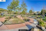 29226 Hub Lane - Photo 34