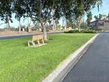 3438 Don Alberto Drive - Photo 13