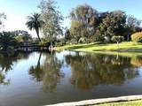 3438 Don Alberto Drive - Photo 15