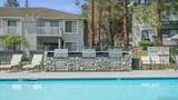 14966 Avenida Venusto Unit 71 - Photo 32