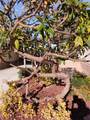 5772 Garden Grove Boulevard - Photo 13