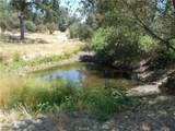 4934 Indian Peak - Photo 22