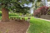 101 Alma Street - Photo 31
