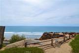 244 Dolphin Cove Court - Photo 49