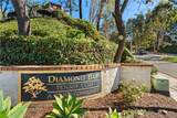 22824 Hilton Head Drive - Photo 17