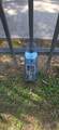 1134 Blaine - Photo 17
