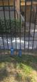 1134 Blaine - Photo 18