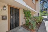 3994 Caminito Patricia - Photo 33